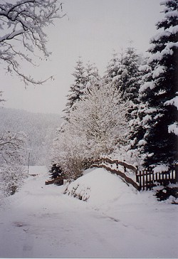 Winter 1998